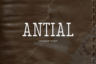 Antial: A Bold Serif Font That Commands Attention