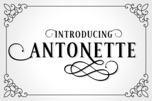 Antonette: A Luxuriant Serif Font for Thoughtful Digital Branding