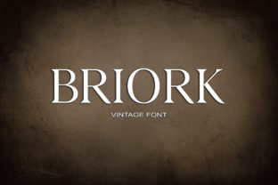 Briork: A Vintage Serif That Feels Like Home