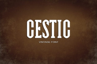 Cestic: A Vintage Serif Font That Elevates Real Small Business Branding