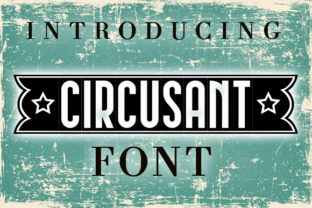 Circusant: A Retro Display Font That Makes Handmade Products Shine