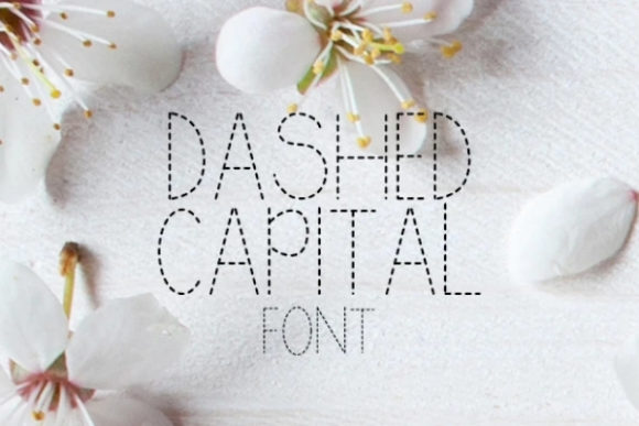 Dashed Capital: A Designer’s Real-World Review