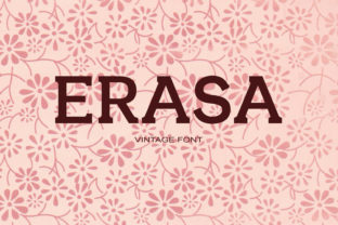 Erasa: A Bold Serif Font for Confident Digital Branding