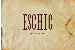 Eschic: A Bold, Retro-Inspired Serif Font That Elevates Real Business Branding