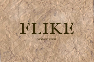 Flike: A Bold, Retro Serif Font That Elevates Small Business Branding