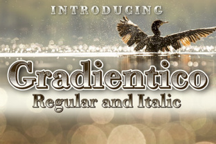 Gradientico: A Retro Serif Font That Elevates Digital Headlines
